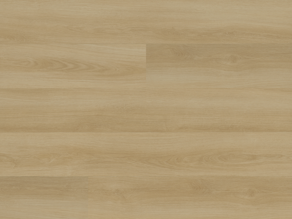 November LVT （LIVER TWIN） 144cm 5949435-1.jpg?sw=1000&sh=1000&