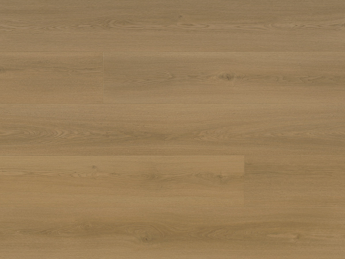 Riverfront PROVIDENCE