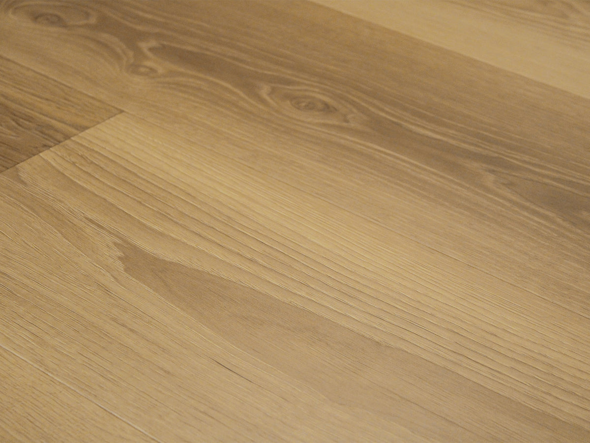 Riverfront STRASBOURG