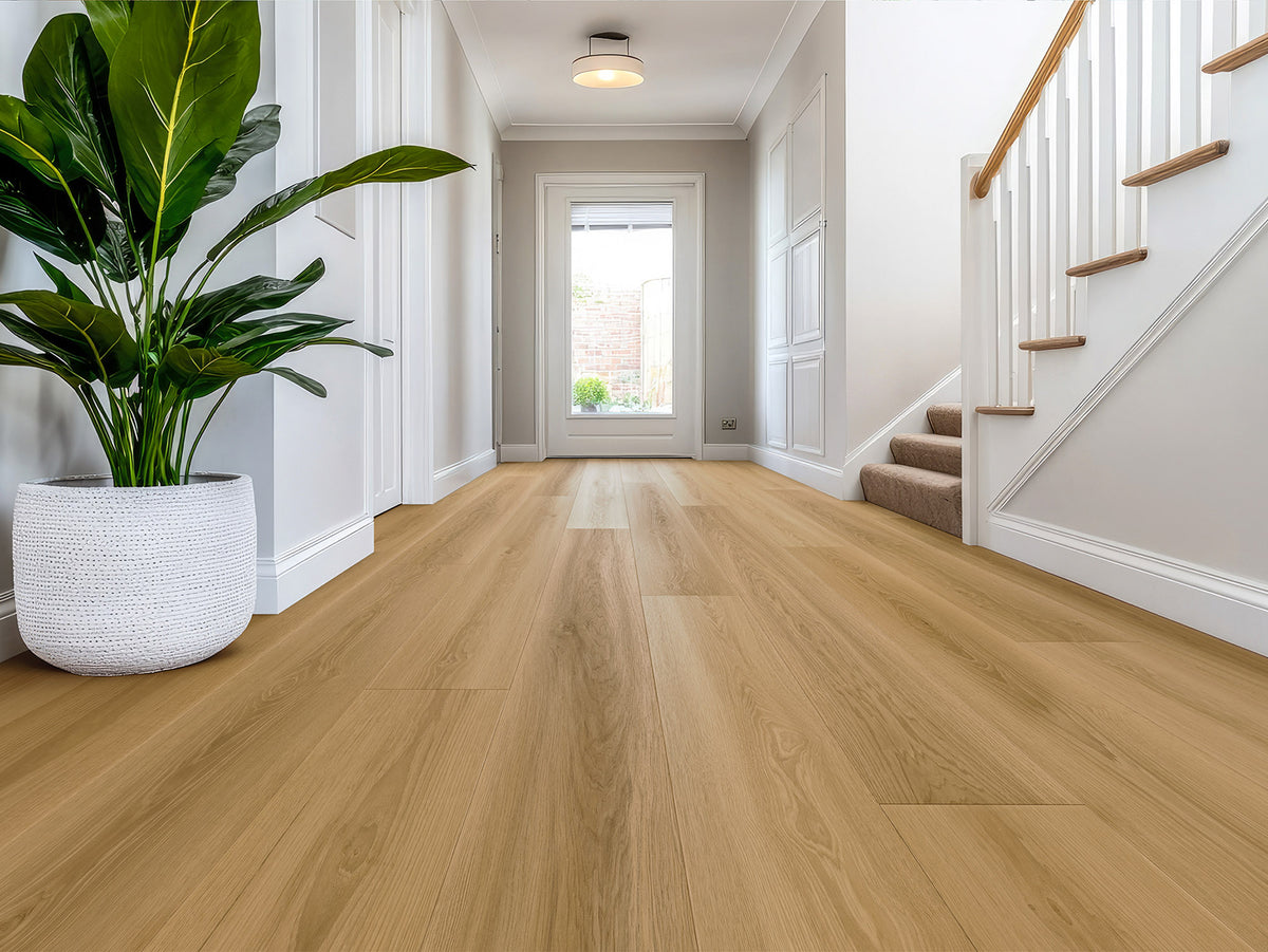 Riverfront STRASBOURG