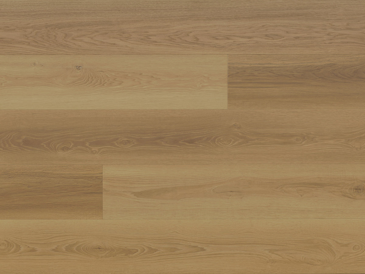 Riverfront STRASBOURG