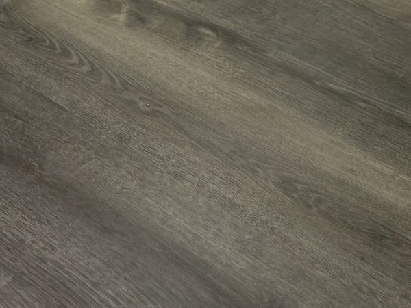 CassidyAnglewebs_600x.png?v=