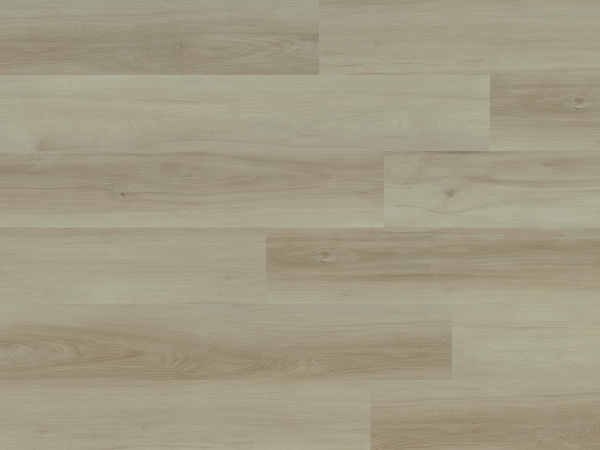 英智 プリマヴェーラ Kenmareweb_600x.png?v=1671124901