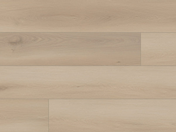 Parkwayweb_600x.jpg?v=1628623081